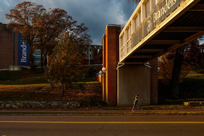 Brandeis University campus