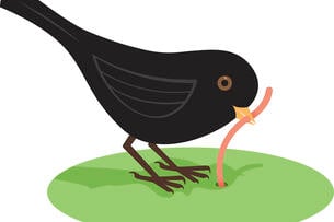 An illustration of a black bird with a worm, suggesting an early bird getting the worm.