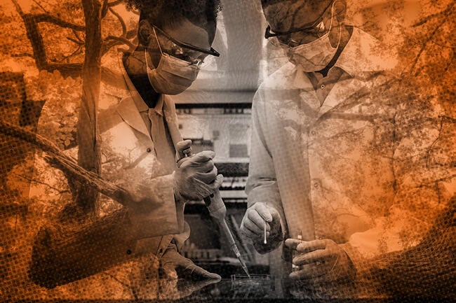 An image of researchers in a lab and a tree layered together.